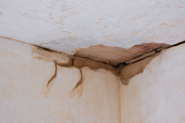 Best Carpet water damage restoration  in East Sonora, CA
