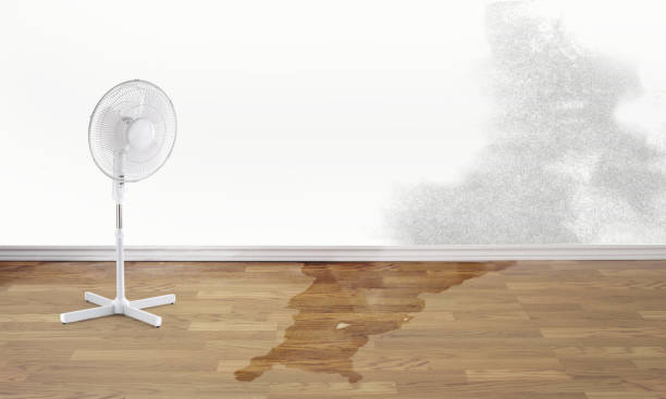Best Commercial water damage restoration  in East Sonora, CA