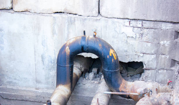Best Water damage cleanup near me  in East Sonora, CA