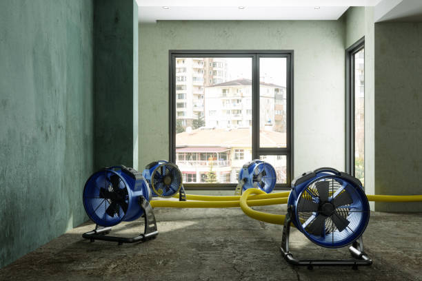 Best Local water damage restoration  in East Sonora, CA